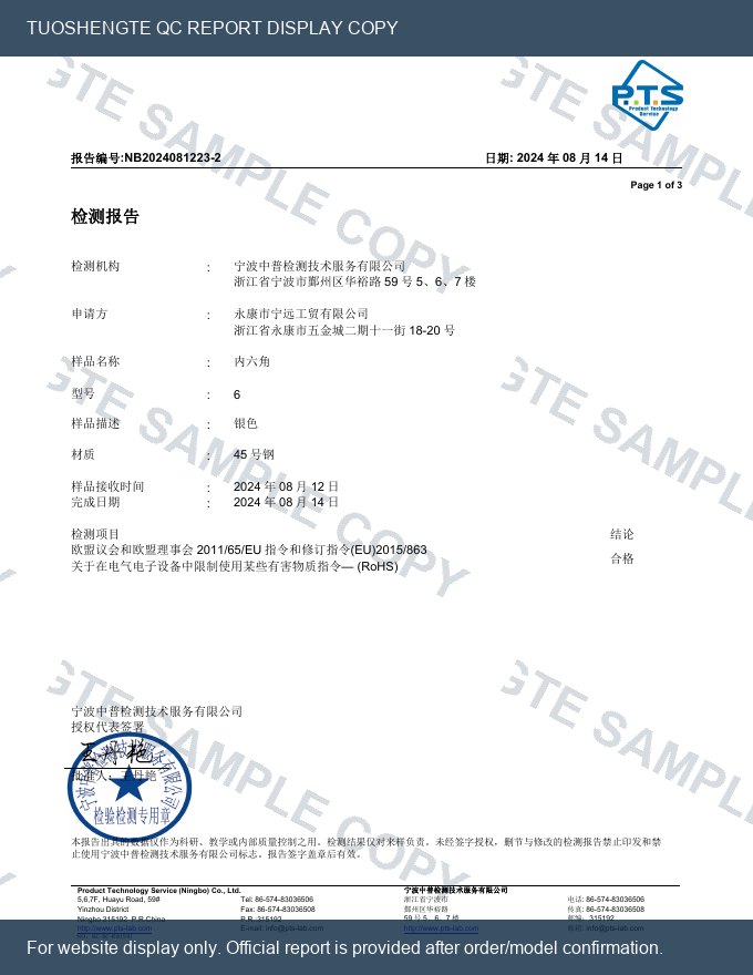 拓昇特内六角RoHS检测报告水印展示图